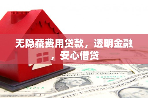 公安无隐藏费用贷款，透明金融，安心借贷