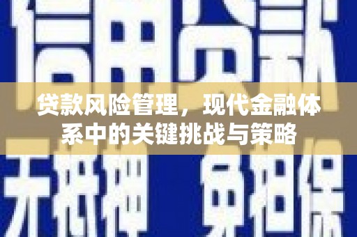 公安贷款风险管理，现代金融体系中的关键挑战与策略