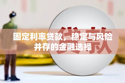 公安固定利率贷款，稳定与风险并存的金融选择