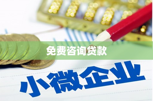 公安免费咨询贷款