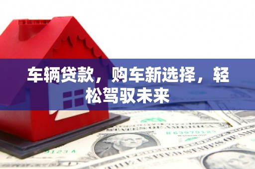 公安车辆贷款，购车新选择，轻松驾驭未来