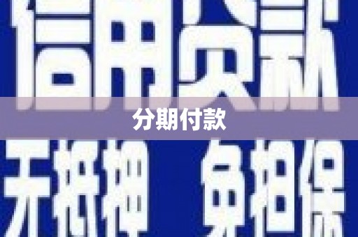 公安分期付款