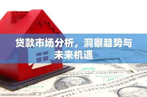 公安贷款市场分析，洞察趋势与未来机遇