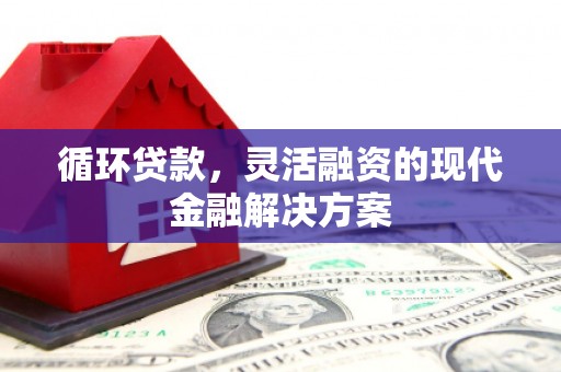 公安循环贷款，灵活融资的现代金融解决方案