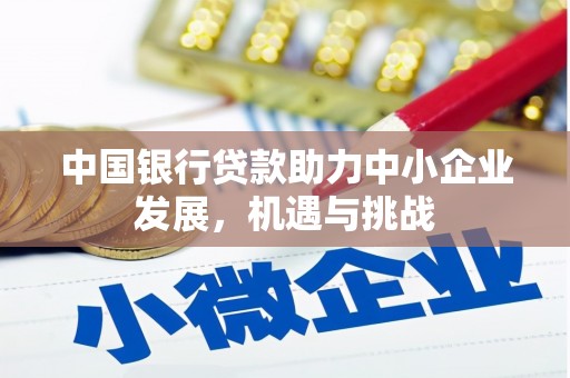 公安中国银行贷款助力中小企业发展，机遇与挑战