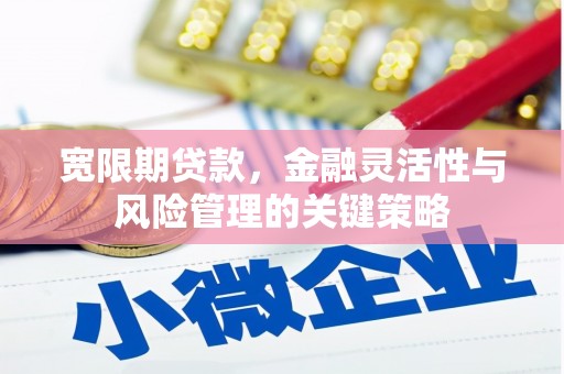 公安宽限期贷款，金融灵活性与风险管理的关键策略