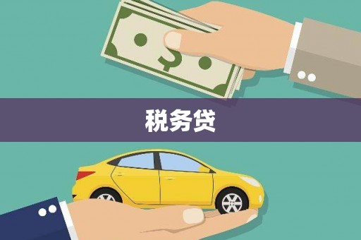 公安税务贷