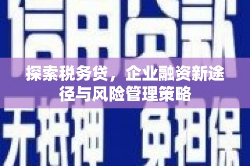 公安探索税务贷，企业融资新途径与风险管理策略