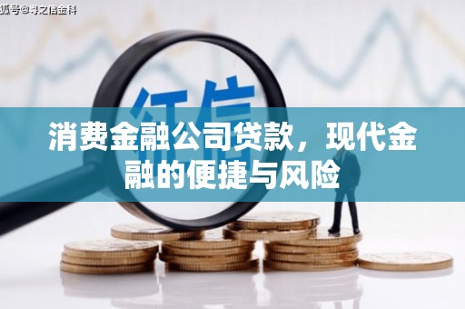 公安消费金融公司贷款，现代金融的便捷与风险