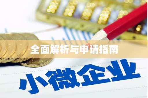 公安全面解析与申请指南