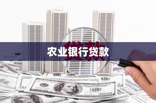 公安农业银行贷款