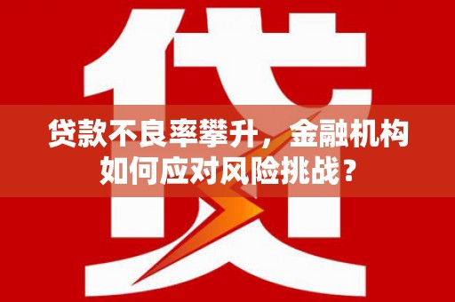 公安贷款不良率攀升，金融机构如何应对风险挑战？