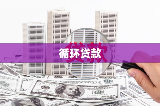 公安循环贷款