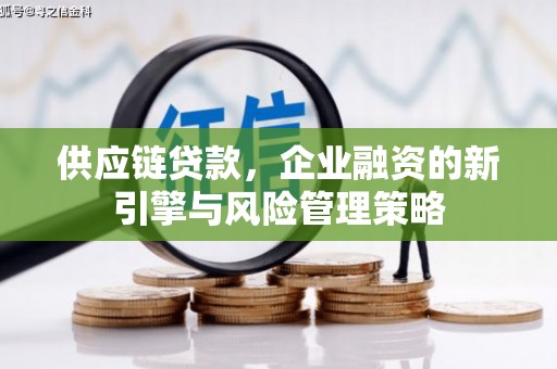 公安供应链贷款，企业融资的新引擎与风险管理策略