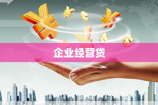 公安企业经营贷