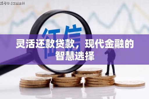公安灵活还款贷款，现代金融的智慧选择