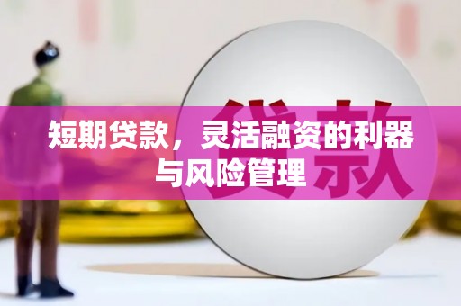 公安短期贷款，灵活融资的利器与风险管理