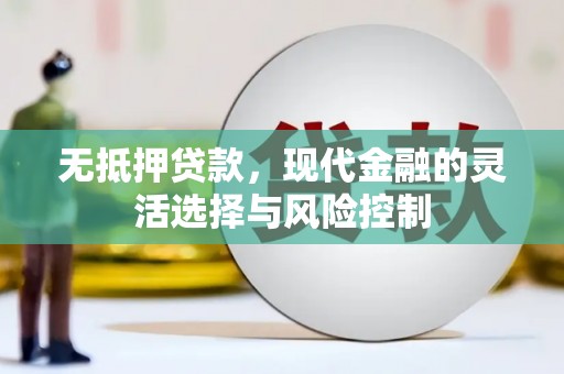 公安无抵押贷款，现代金融的灵活选择与风险控制