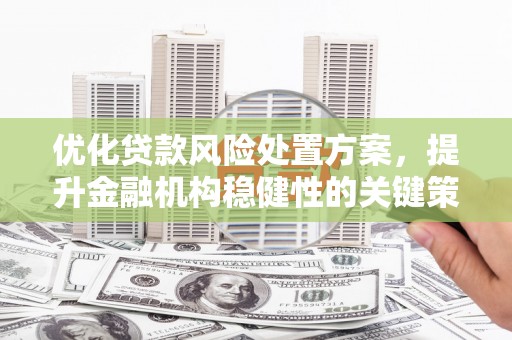 公安优化贷款风险处置方案，提升金融机构稳健性的关键策略