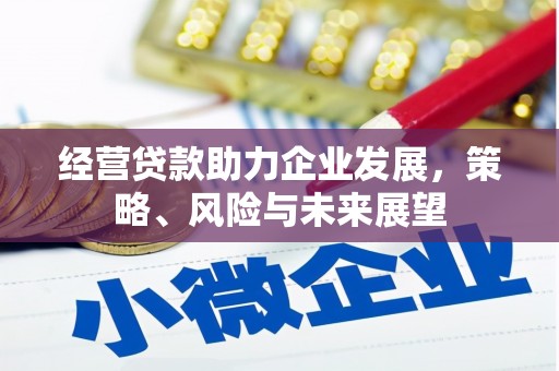公安经营贷款助力企业发展，策略、风险与未来展望