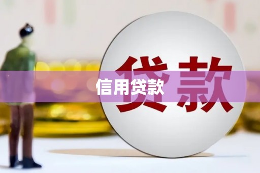 公安信用贷款