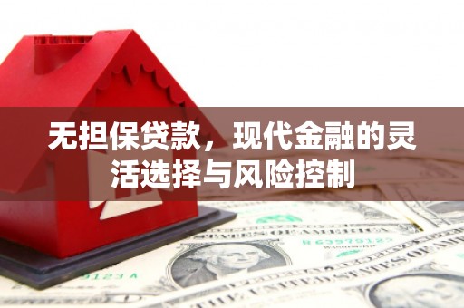 公安无担保贷款，现代金融的灵活选择与风险控制