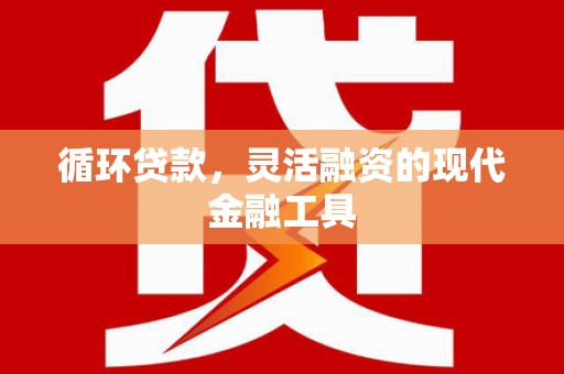公安循环贷款，灵活融资的现代金融工具