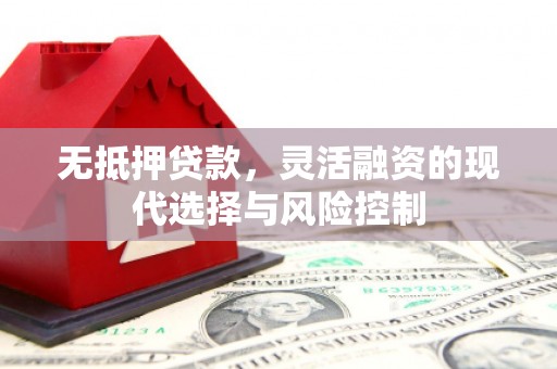 公安无抵押贷款，灵活融资的现代选择与风险控制
