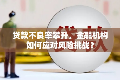 公安贷款不良率攀升，金融机构如何应对风险挑战？