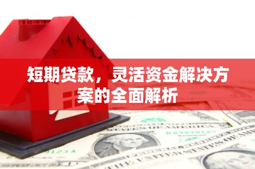 公安短期贷款，灵活资金解决方案的全面解析