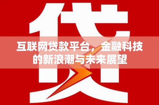 公安互联网贷款平台，金融科技的新浪潮与未来展望