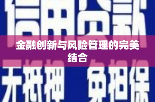 公安金融创新与风险管理的完美结合