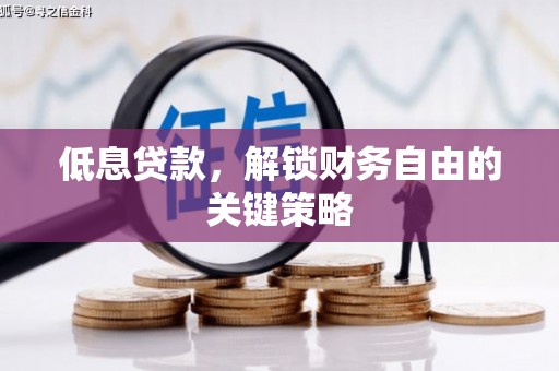 公安低息贷款，解锁财务自由的关键策略