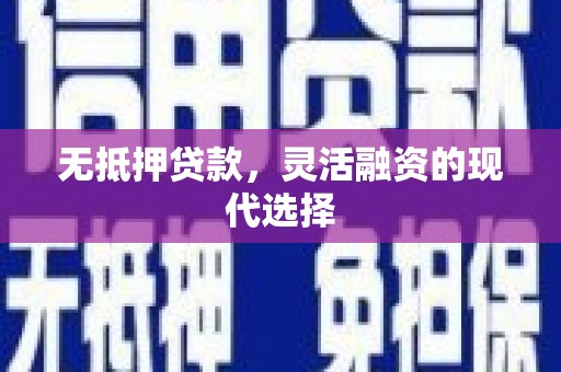 公安无抵押贷款，灵活融资的现代选择