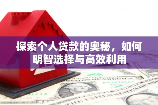 公安探索个人贷款的奥秘，如何明智选择与高效利用