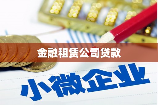 公安金融租赁公司贷款