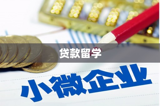 公安贷款留学