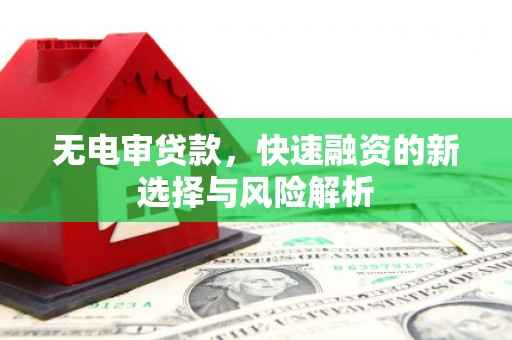 公安无电审贷款，快速融资的新选择与风险解析