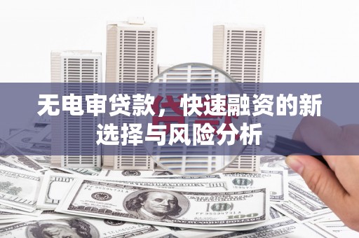 公安无电审贷款，快速融资的新选择与风险分析