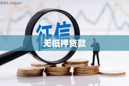 公安无抵押贷款