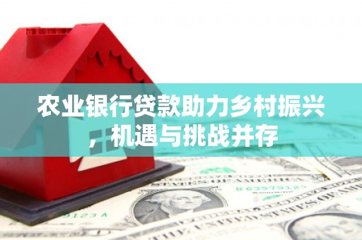 公安农业银行贷款助力乡村振兴，机遇与挑战并存