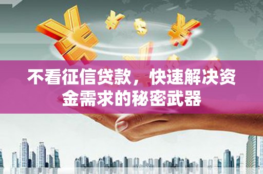 公安不看征信贷款，快速解决资金需求的秘密武器
