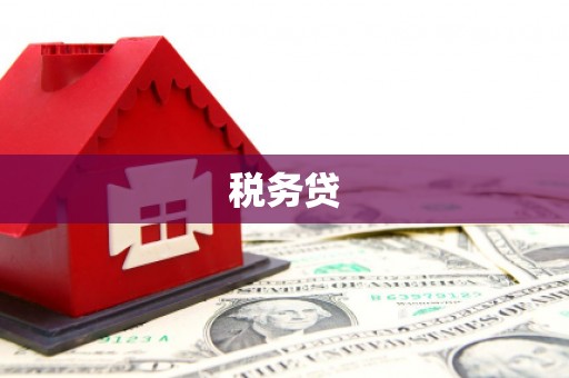 公安税务贷