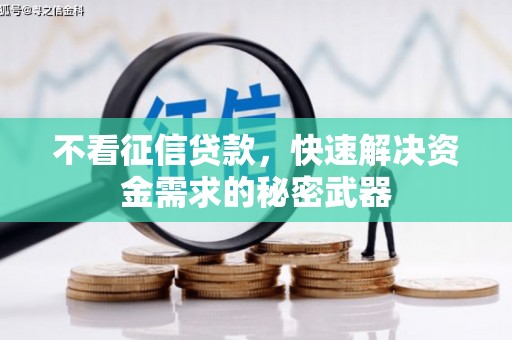 公安不看征信贷款，快速解决资金需求的秘密武器