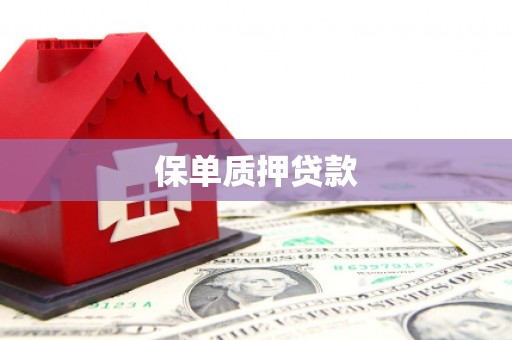 公安保单质押贷款