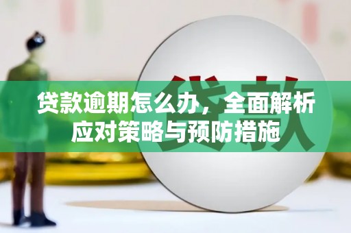 公安贷款逾期怎么办，全面解析应对策略与预防措施