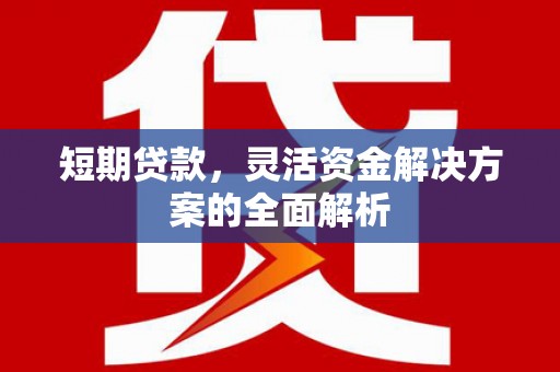 公安短期贷款，灵活资金解决方案的全面解析