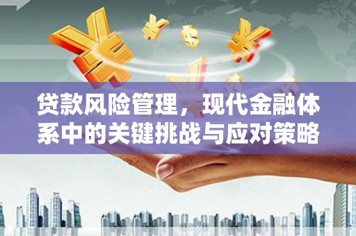 公安贷款风险管理，现代金融体系中的关键挑战与应对策略