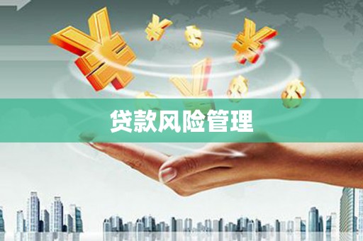 公安贷款风险管理