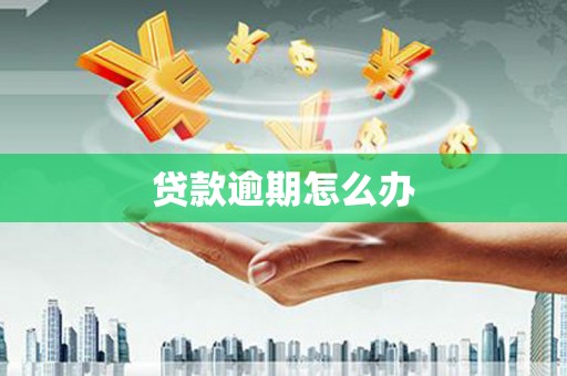 公安贷款逾期怎么办